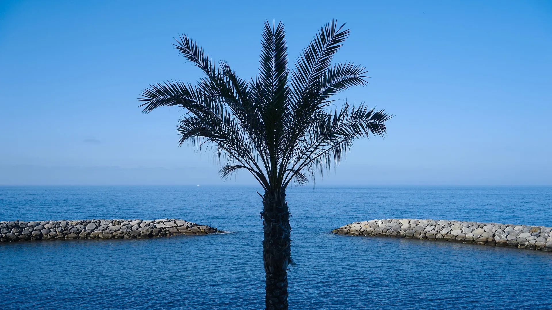 Saccharum - Resort And Spa - Savoy Signature Calheta   Calheta (Madeira)
