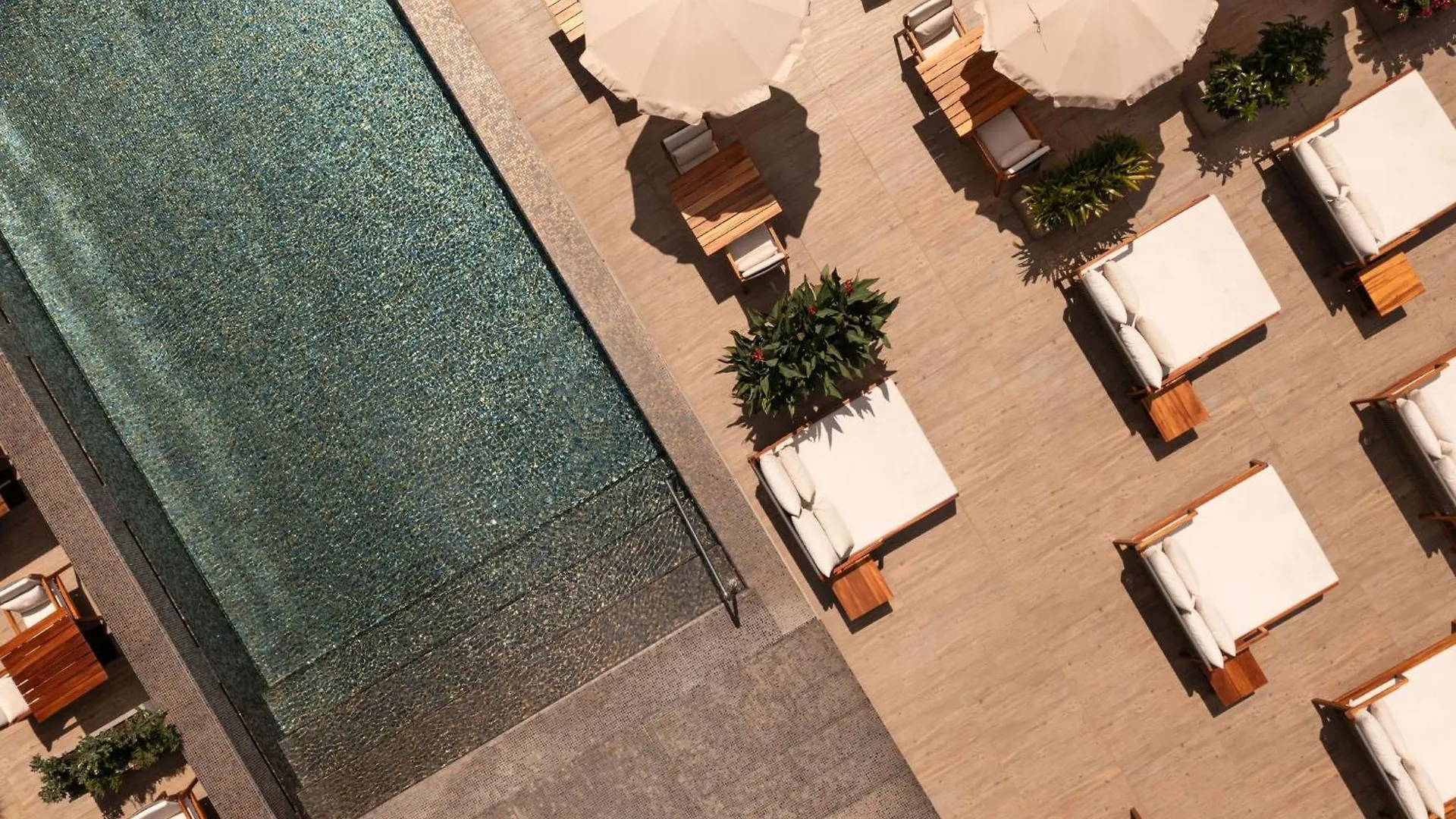 Saccharum - Resort And Spa - Savoy Signature Calheta  5*, Calheta (Madeira)